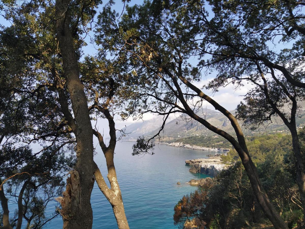 Judia Camere sul mare Maratea Esterno foto